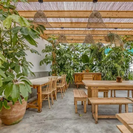 Selina بيت شباب إيريسييرا