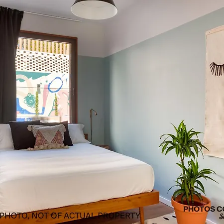 Selina بيت شباب إيريسييرا