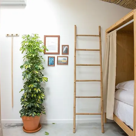 بيت شباب Selina إيريسييرا