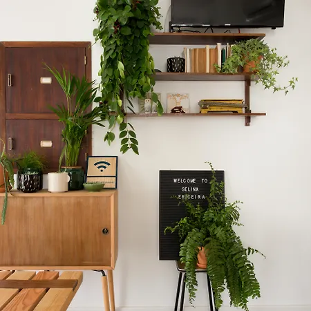 بيت شباب Selina *