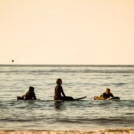 Selina * إيريسييرا