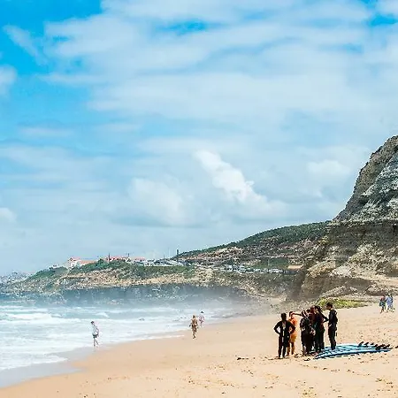 بيت شباب Selina إيريسييرا