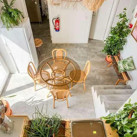 Selina بيت شباب